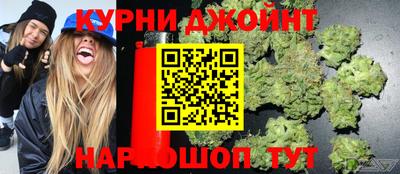 ешки Новодвинск