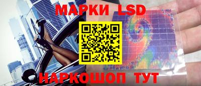 индика Новозыбков
