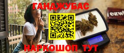 ешки Новодвинск