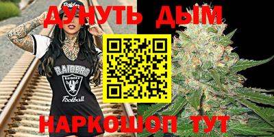 ешки Новодвинск