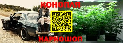 гидропоника Новокубанск