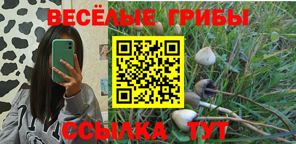 Alpha PVP Электросталь