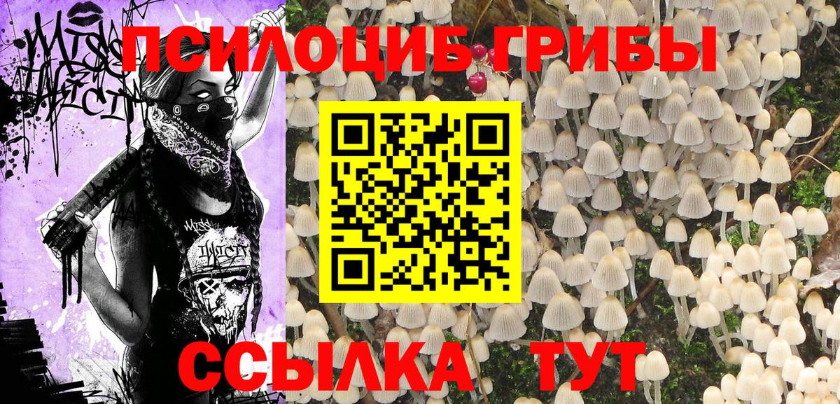 Галлюциногенные грибы мицелий  Псилоцибиновые грибы Psilocybe  Электросталь 