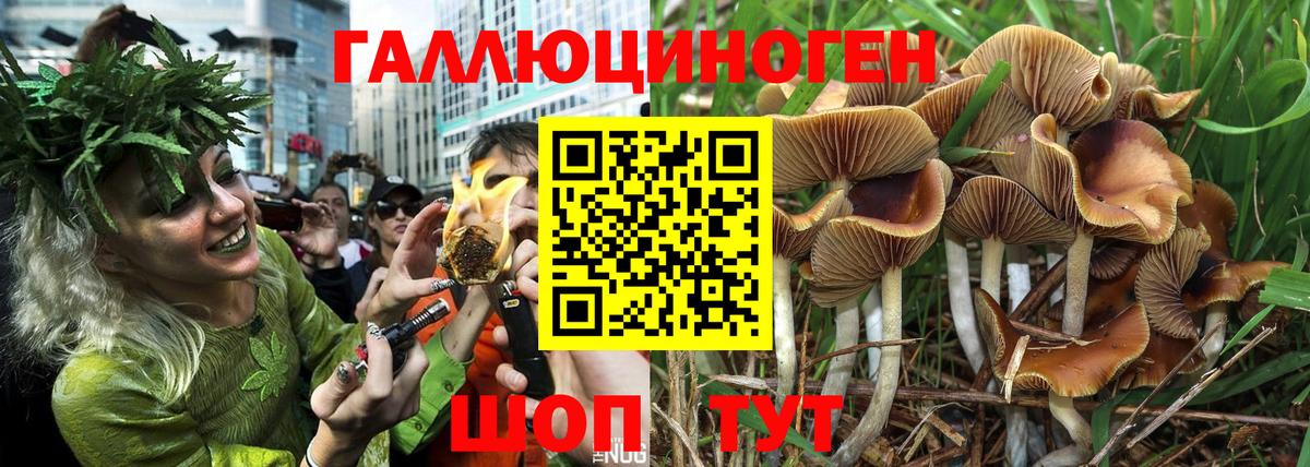Псилоцибиновые грибы мицелий  Вход с VPN  Электросталь  Галлюциногенные грибы Magic Shrooms 